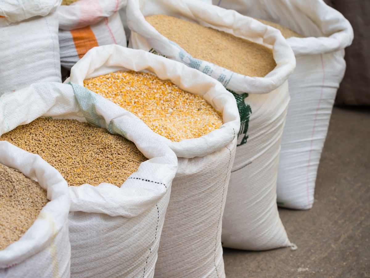 Pakan Unggas & Ternak